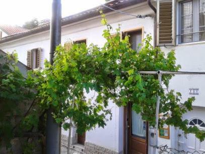 B&B Al Ferdinandeo Trieste Eksteriør billede